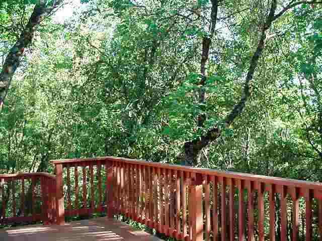 23091 Mine Shaft Ct, Sonora, CA 95370 photo 4