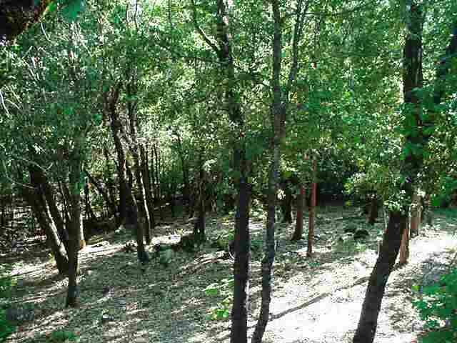 23091 Mine Shaft Ct, Sonora, CA 95370 photo 3