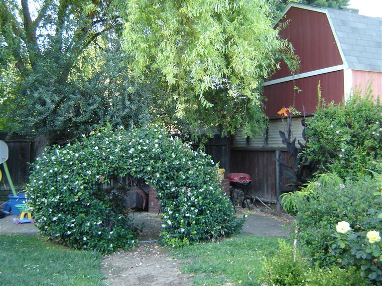 2940 Hemminger Way, Modesto, CA 95350 photo 9