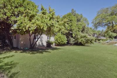 313 W 8th St, Davis, CA 95616 photo 4