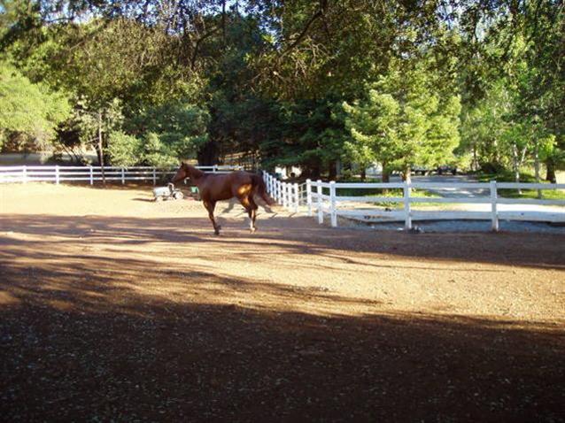 1860 Squires Canyon Ct, Cool, CA 95614 photo 3