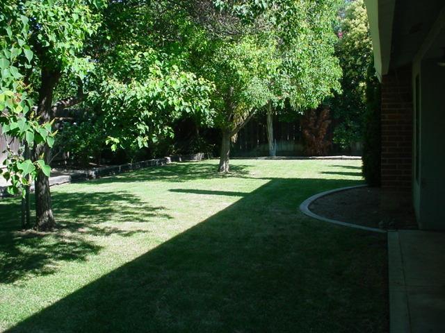 4039 Notre Dame Ave, Merced, CA 95348 photo 15