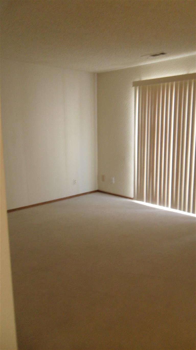 809 Canelli Cir, Modesto, CA 95356 photo 13