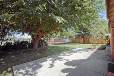 1107 Alice St, Davis, CA 95616 photo 4