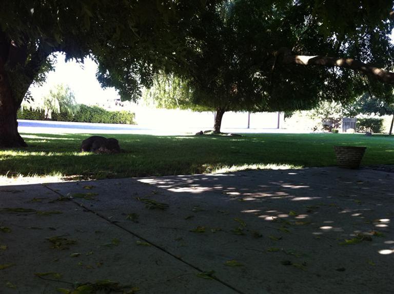 3267 Ladd Rd, Modesto, CA 95356 photo 4