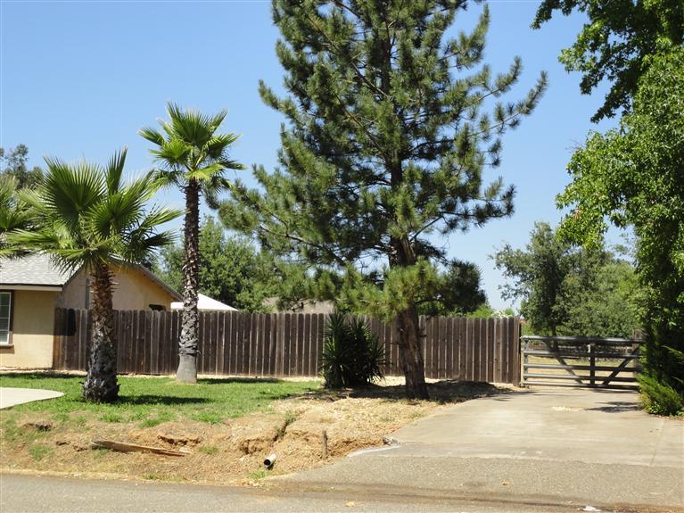 2101 Hitching Post Ct, Elverta, CA 95626 photo 4