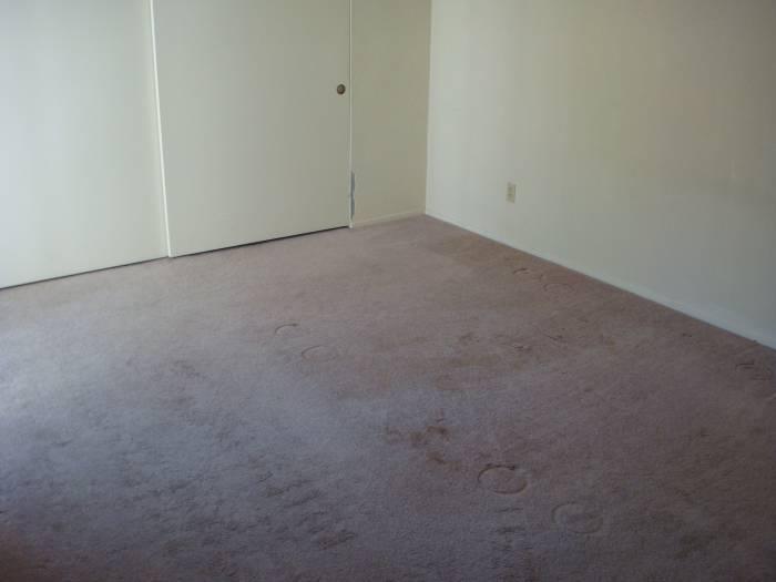 3613 Thomas More Way, Modesto, CA 95356 photo 8