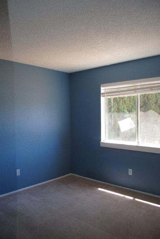 799 Milestone Dr, Lathrop, CA 95330 photo 8