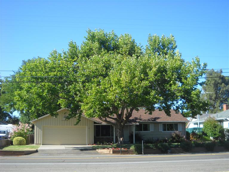 5709 Grant Ave, Carmichael, CA 95608 photo 2