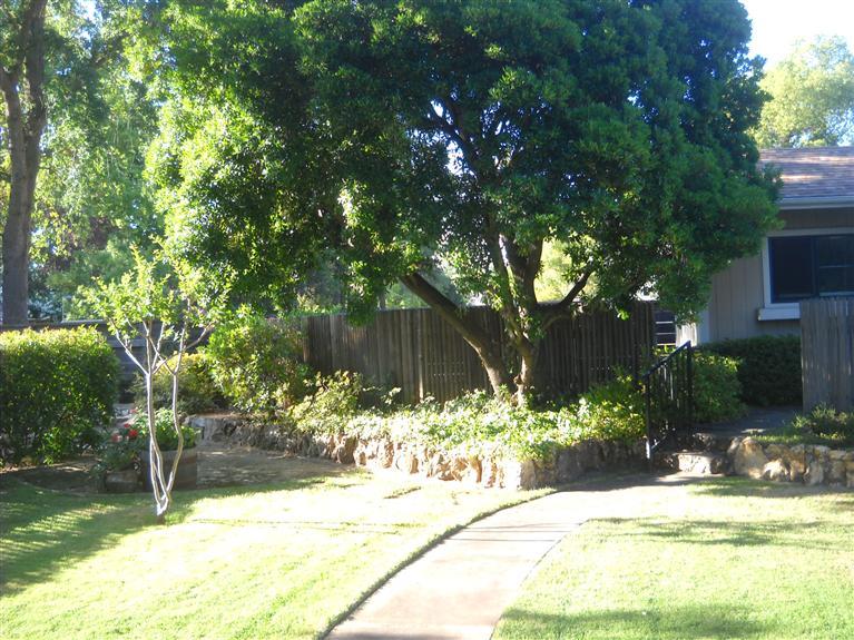 5709 Grant Ave, Carmichael, CA 95608 photo 19