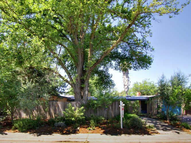 815 Oeste Dr, Davis, CA 95616 photo 2