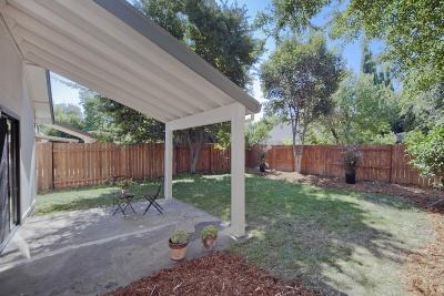 2210 Calaveras Ave, Davis, CA 95616 photo 15