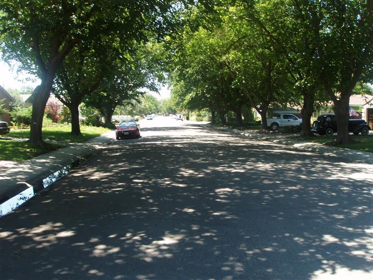 445 Hollywood Ave, Tracy, CA 95376 photo 4
