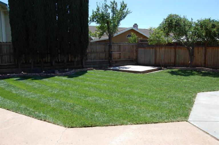 1730 Camellia Dr, Tracy, CA 95376 photo 4
