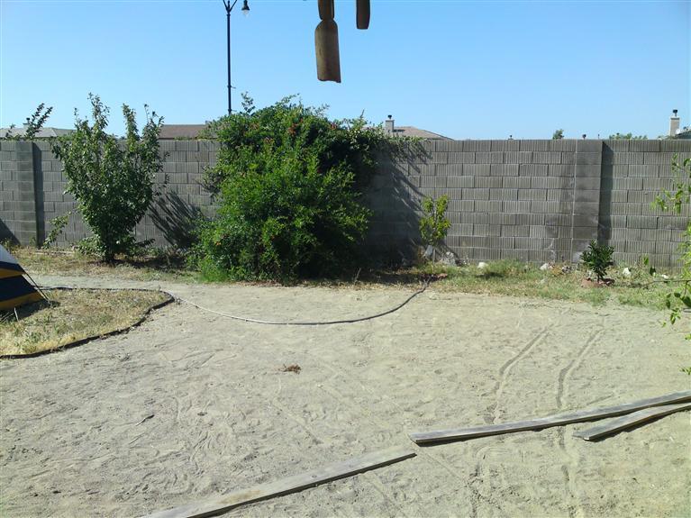 2415 Saffron Ct, Tracy, CA 95377 photo 9