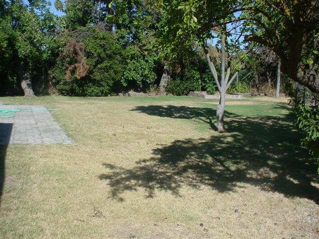 6501 Narcisco Way, Hughson, CA 95326 photo 15