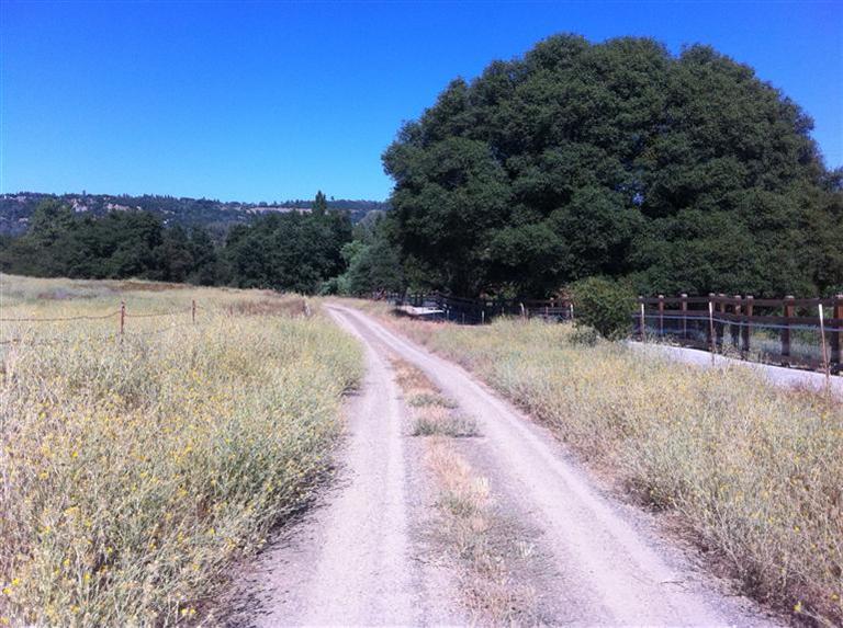 3908 Lockie Ct, Placerville, CA 95667 photo 19
