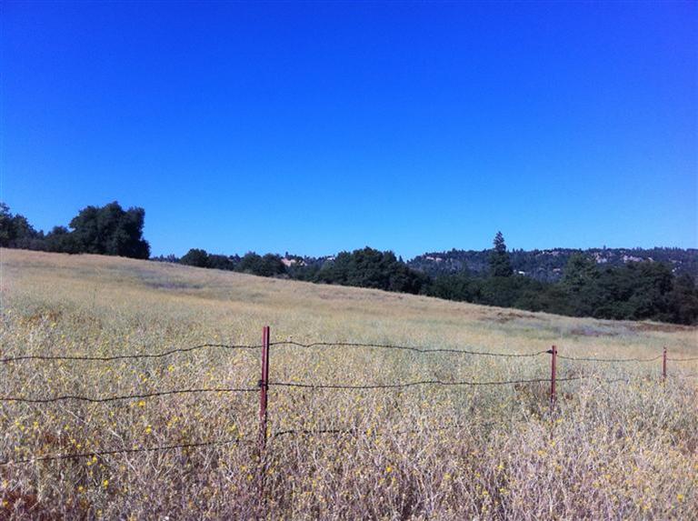 3908 Lockie Ct, Placerville, CA 95667 photo 17