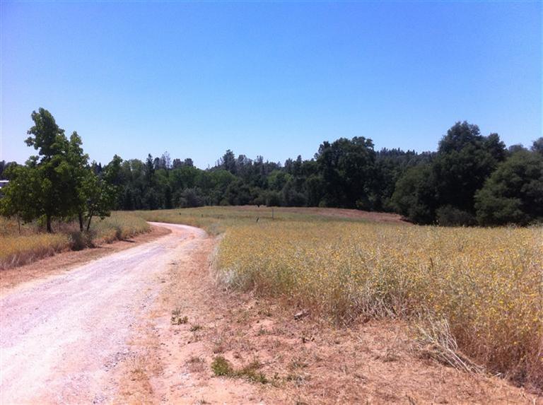 3908 Lockie Ct, Placerville, CA 95667 photo 5