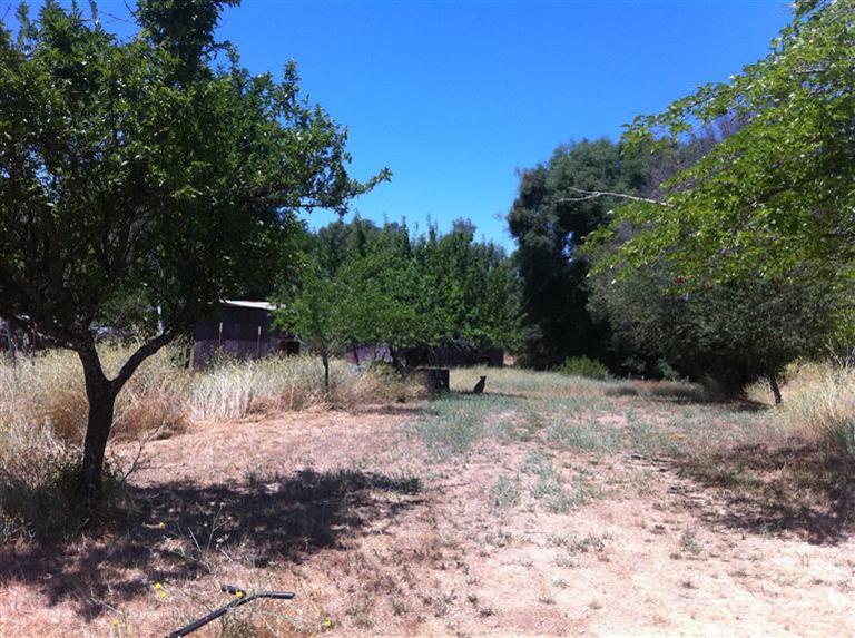 3908 Lockie Ct, Placerville, CA 95667 photo 18