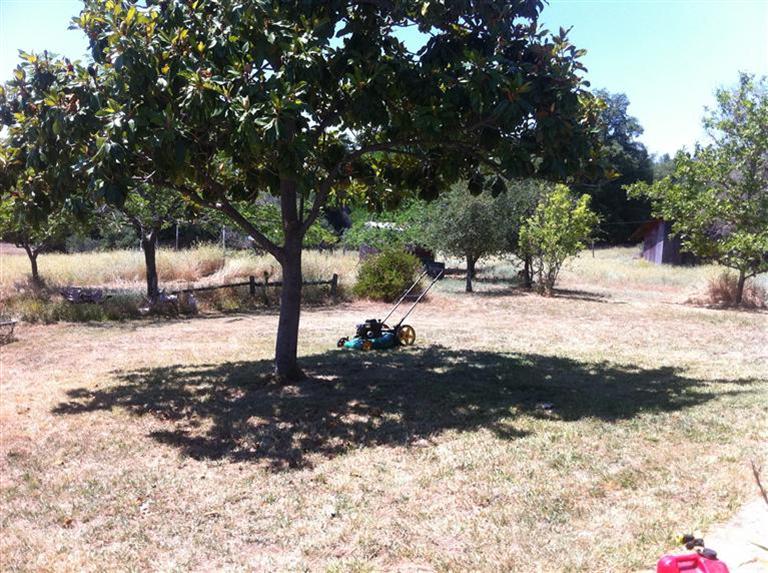 3908 Lockie Ct, Placerville, CA 95667 photo 3