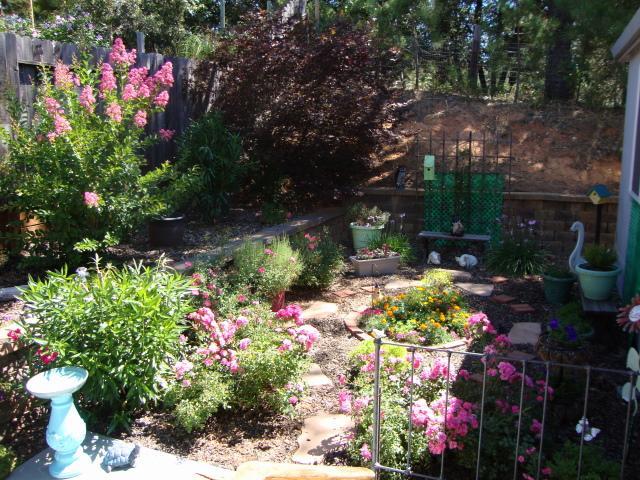 220 Glendale Rd, Colfax, CA 95713 photo 2