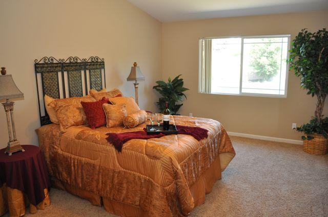 976 Dolan Ct, Folsom, CA 95630 photo 9