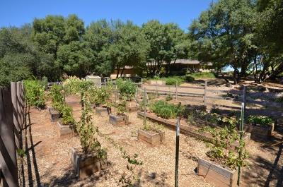 6201 Bluestone Ln, Placerville, CA 95667 photo 17