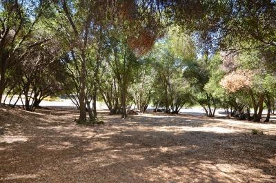 6201 Bluestone Ln, Placerville, CA 95667 photo 23