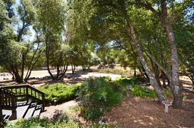 6201 Bluestone Ln, Placerville, CA 95667 photo 4
