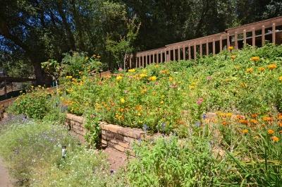 6201 Bluestone Ln, Placerville, CA 95667 photo 22