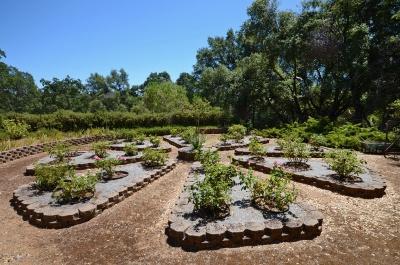 6201 Bluestone Ln, Placerville, CA 95667 photo 24