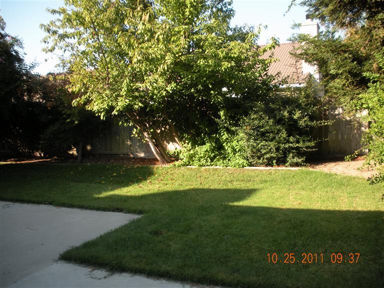 4461 Mirage Dr, Turlock, CA 95382 photo 11