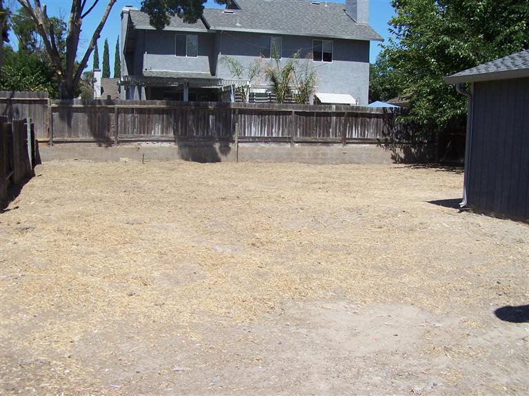 619 Milestone Dr, Lathrop, CA 95330 photo 3