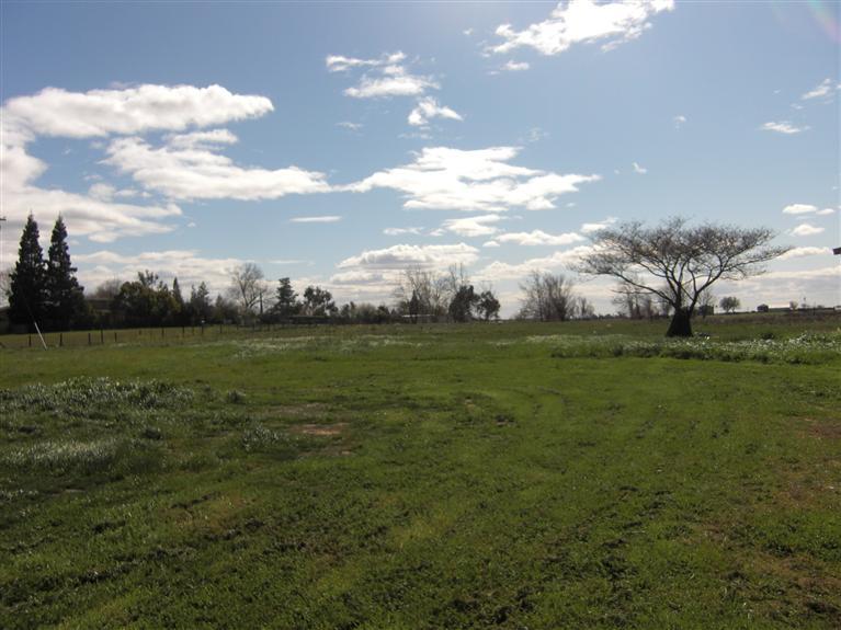 12232 Walmort Rd, Wilton, CA 95693 photo 4