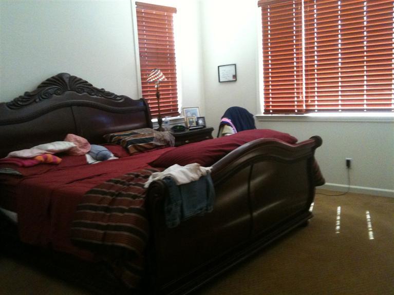 16144 Sheltered Cv E, Lathrop, CA 95330 photo 11