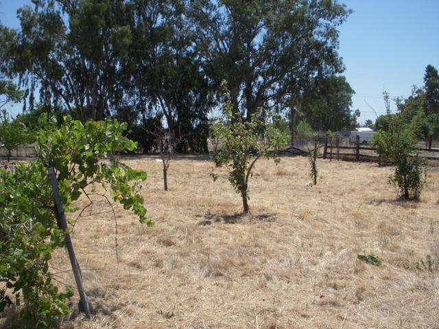 10621 Base Line Rd, Elverta, CA 95626 photo 13