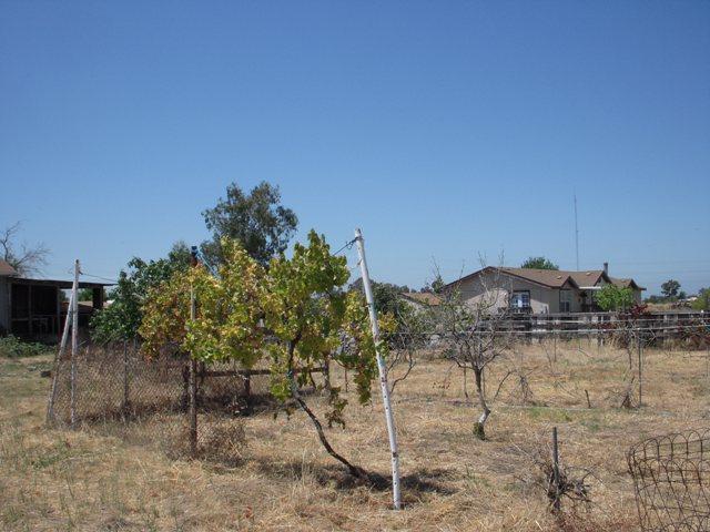 10621 Base Line Rd, Elverta, CA 95626 photo 3