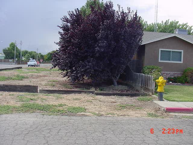 1081 Elm Ave, Gustine, CA 95322 photo 20