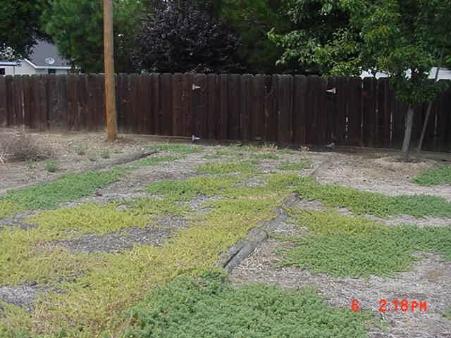1081 Elm Ave, Gustine, CA 95322 photo 24