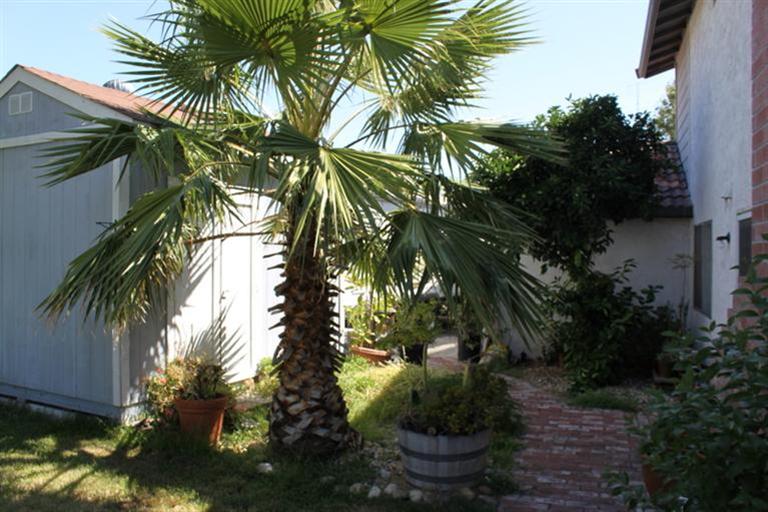 2475 Gerald Ct, Tracy, CA 95376 photo 19