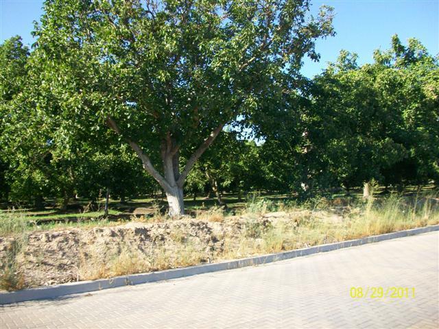 1173 Suffolk Way, Ripon, CA 95366 photo 4