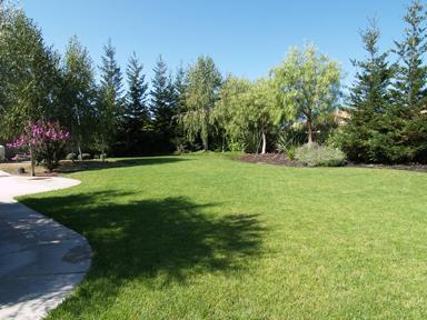 7446 River Nine Dr, Modesto, CA 95356 photo 23