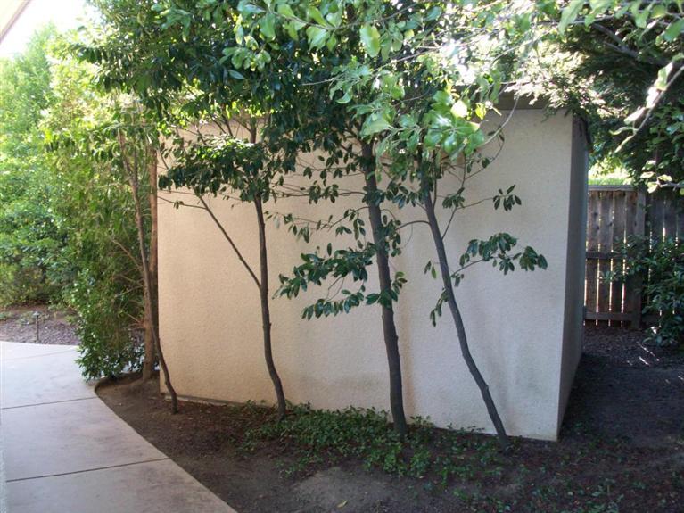 2015 Bern Way, Lodi, CA 95242 photo 22