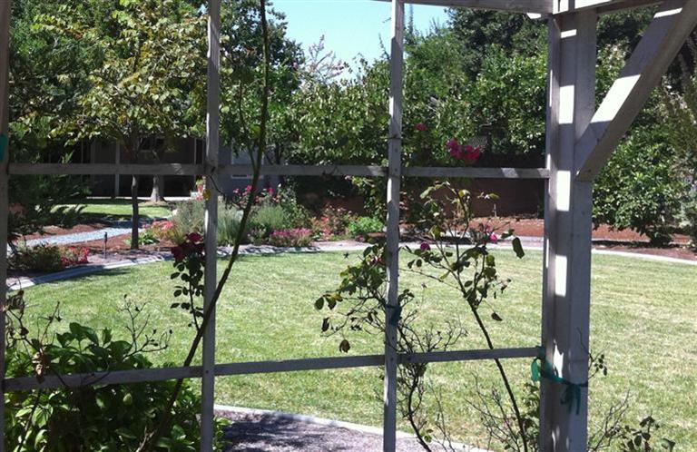 1308 Payne Ave, Modesto, CA 95351 photo 13