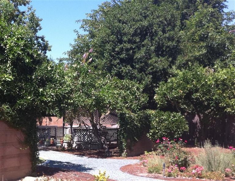 1308 Payne Ave, Modesto, CA 95351 photo 14