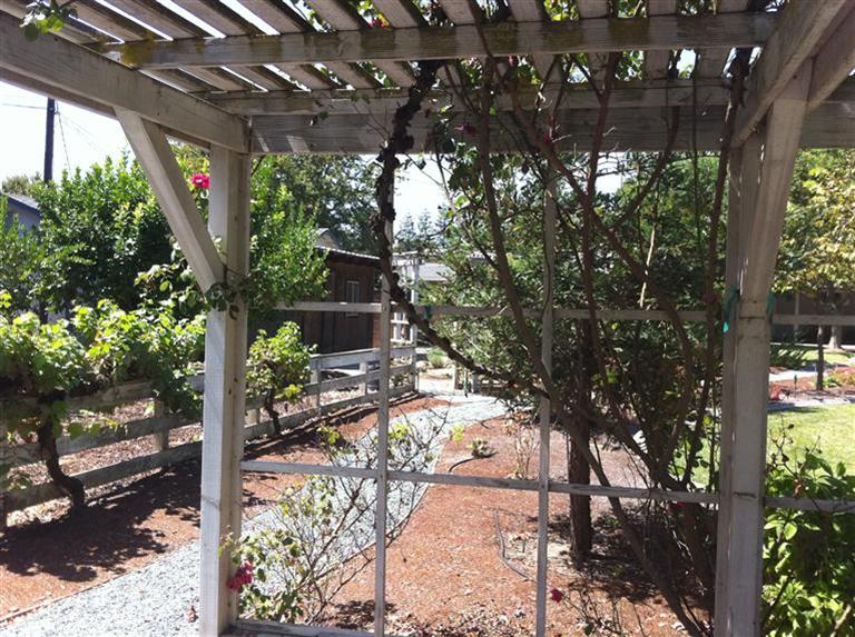 1308 Payne Ave, Modesto, CA 95351 photo 16
