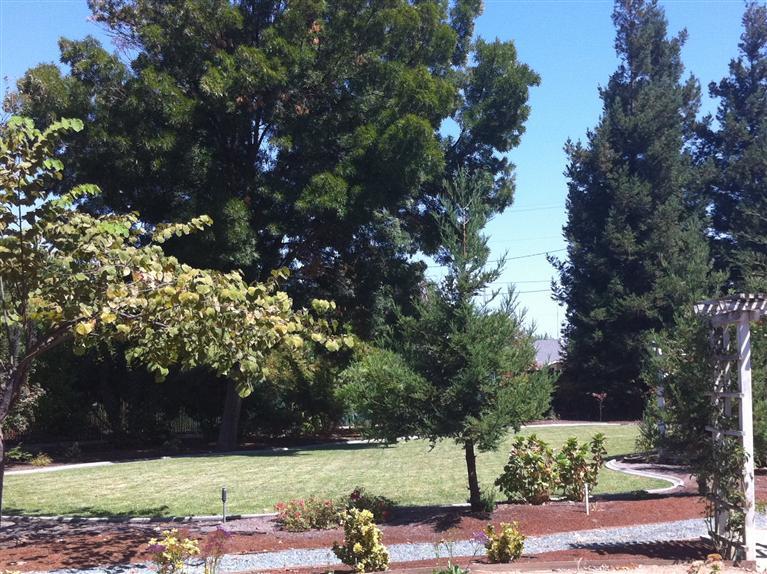 1308 Payne Ave, Modesto, CA 95351 photo 11
