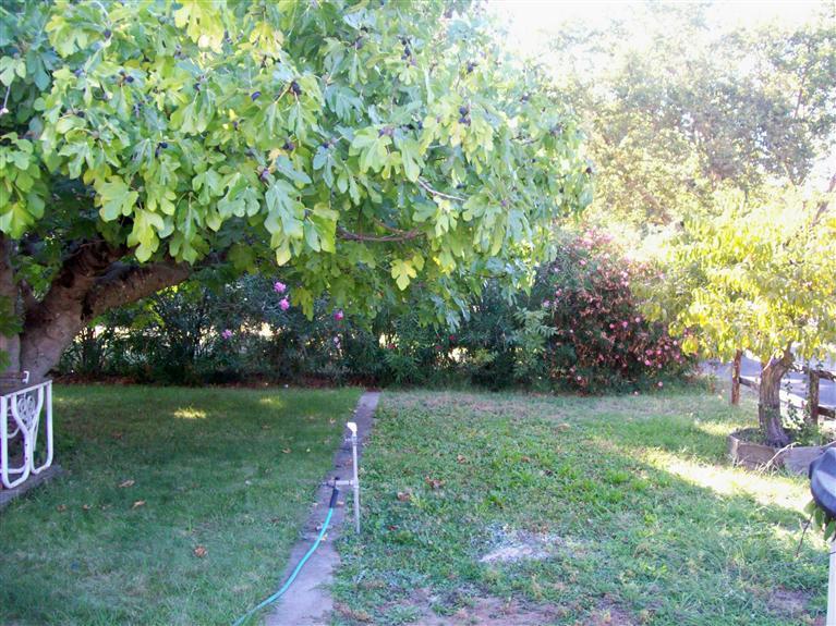 3701 California Ave, Carmichael, CA 95608 photo 19