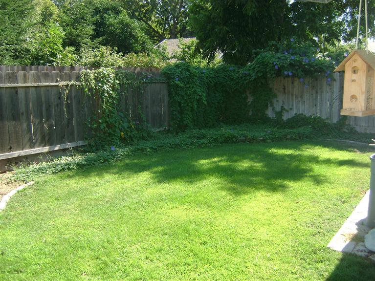 1030 E Main St, Turlock, CA 95380 photo 8